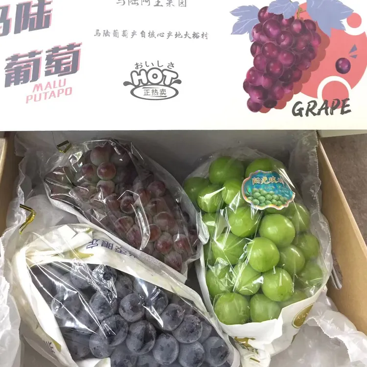 马陆葡萄三拼，玫瑰香+黑加仑+阳光玫瑰