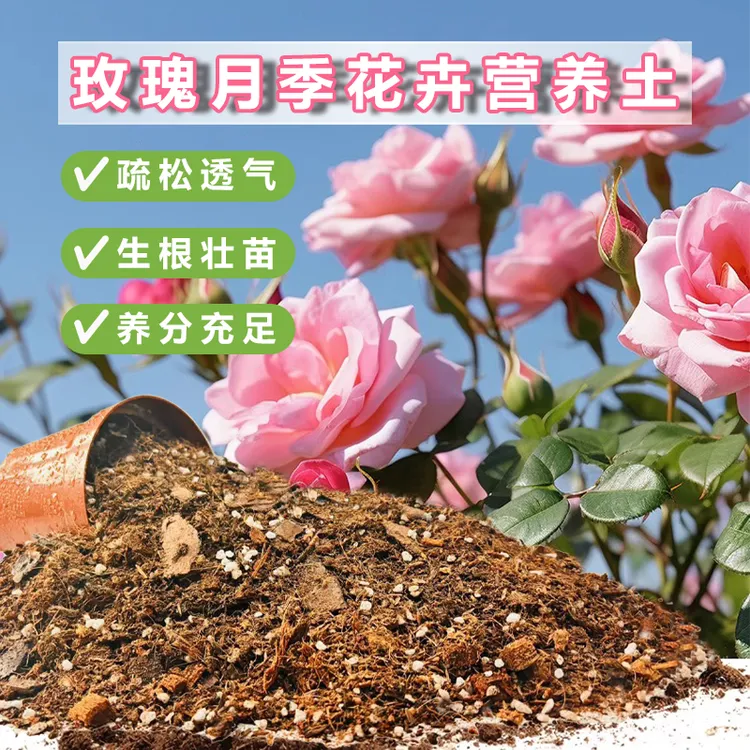 月季专用土家用盆栽种植绣球月季营养土粗颗粒均衡配方花卉通用型