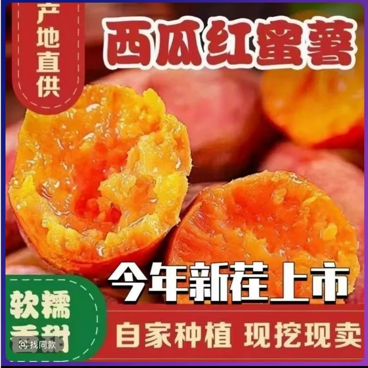 2025新挖新鲜西瓜红超甜沙地蜜薯红薯地瓜番薯糖心地瓜