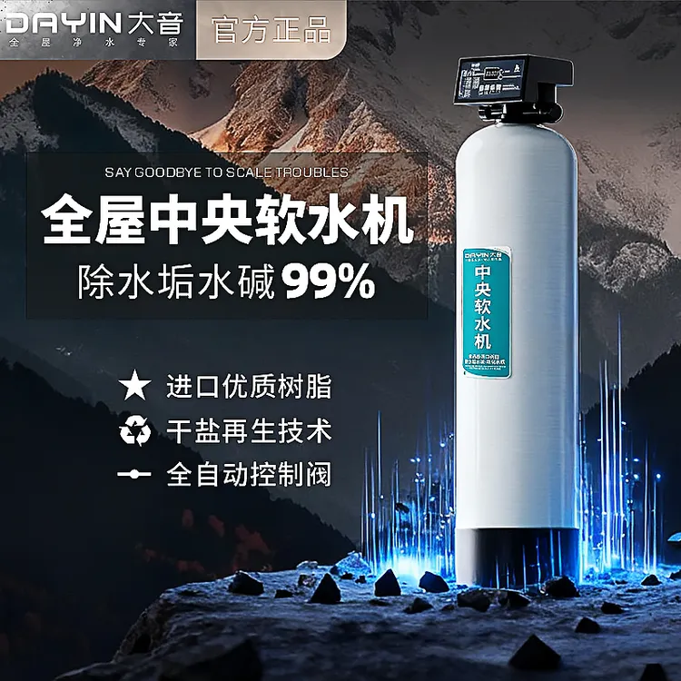 大音家用除水垢全自动软化水设备交换器软水机过滤器井水自来水
