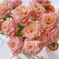 【云舍花卉】【微光】单头玫瑰 全场任意满两单及以上鲜花包邮发货