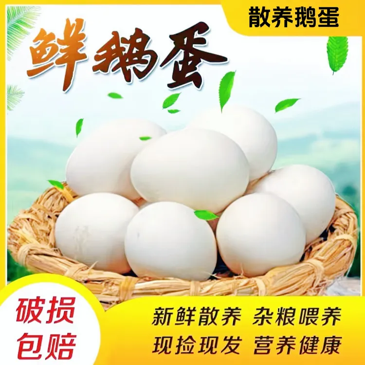 【破损包赔】农家新鲜散养鹅蛋  营养丰富 现捡现发