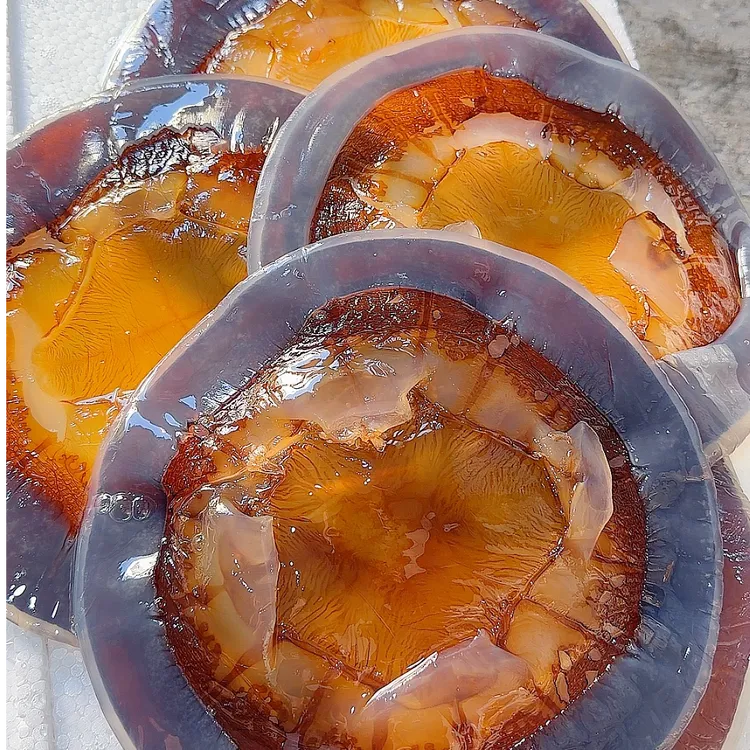 舟山岱山红太阳海蜇皮水皮约5斤 凉拌菜 