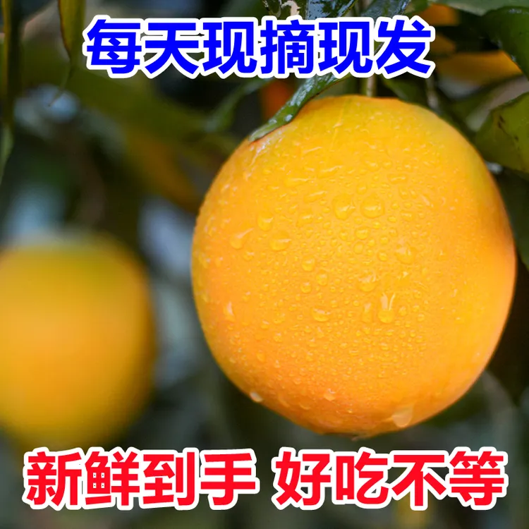 江西赣南脐橙子10新鲜多汁皮薄肉厚当季现摘赣州产地直发正宗应季