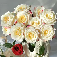 【云舍花卉】方德荷冠【艾莉森】单头玫瑰全场鲜花任意满2单以上包邮