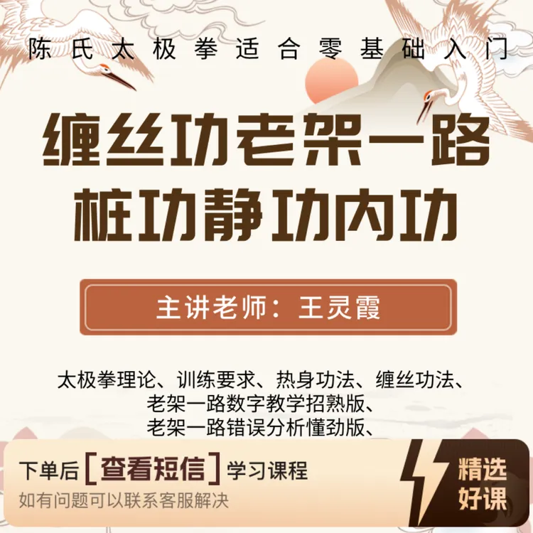 陈氏太极拳缠丝功老架一路桩功静功内功教程（留意短信解锁课程）