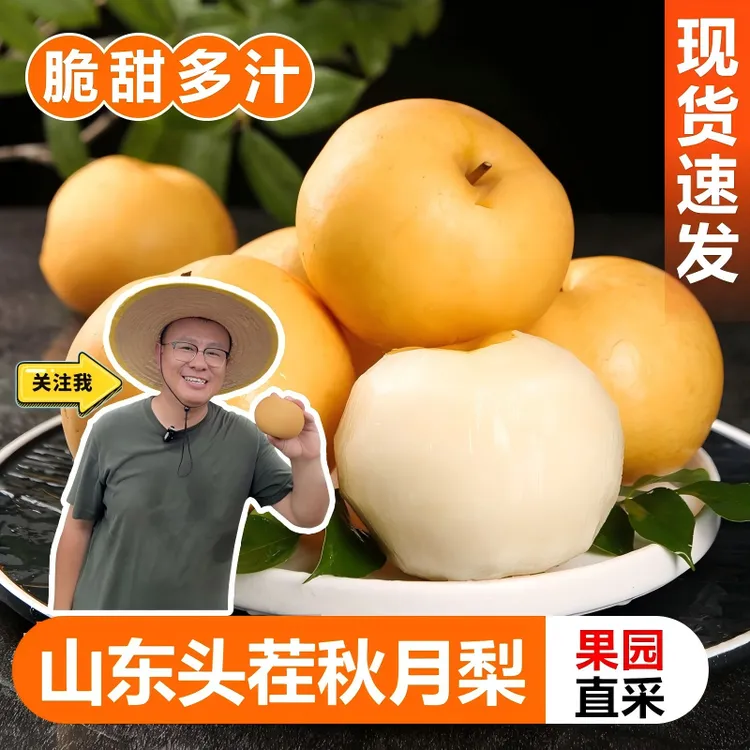 【正宗】山东头茬秋月梨正宗秋月梨头茬冰糖梨批发现摘维生素c水果