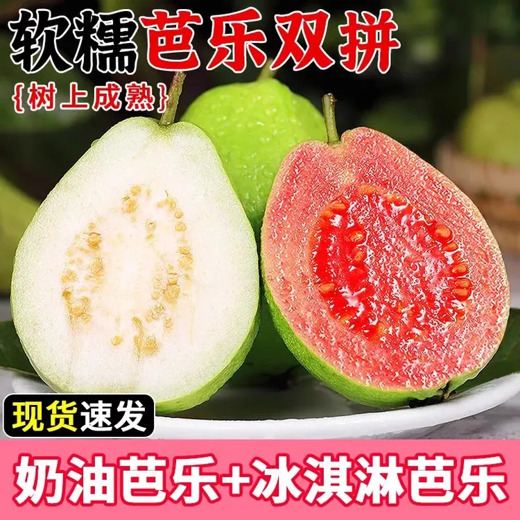 【红心+白心】广西红芭乐双拼香甜软糯番石榴新鲜孕妇水果红白心