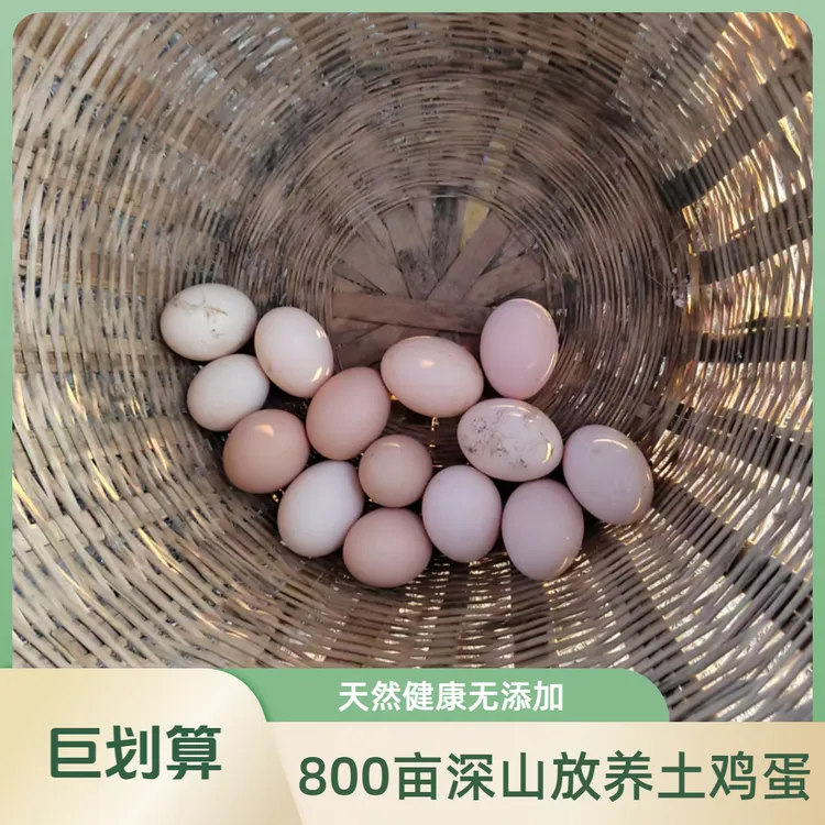 深山原生态放养新鲜土鸡蛋无激素5斤