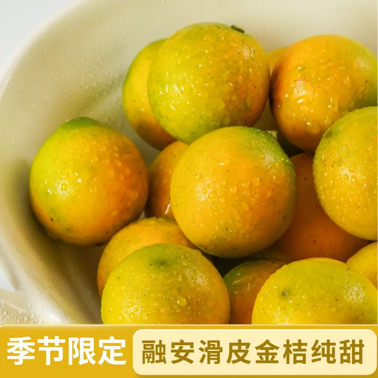 广西融安滑皮金桔多汁新鲜脆皮金桔现摘现发