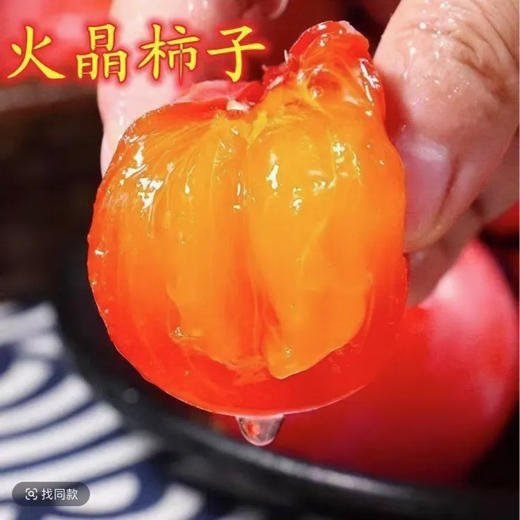 陕西临潼嫁接无核火晶罐柿子树苗南北方庭院阳台盆栽当年结果耐寒