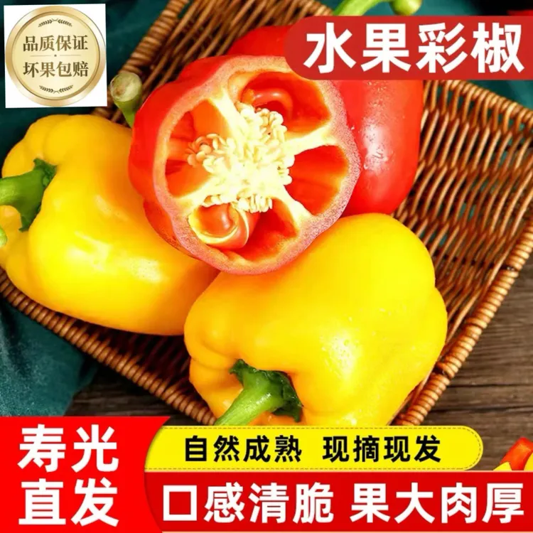 甄汇优 【坏果包赔】d水果五彩甜椒生吃微甜不辣当季时令水果蔬菜