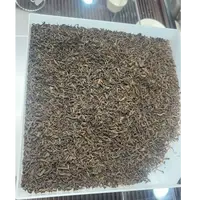 荔枝香老六堡茶 香气浓郁 醇厚甘甜