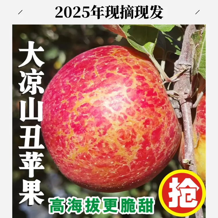 大凉山冰糖心丑苹果