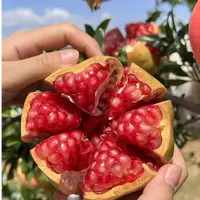突尼斯软籽石榴新鲜当季水果整箱4.5斤爆甜多汁