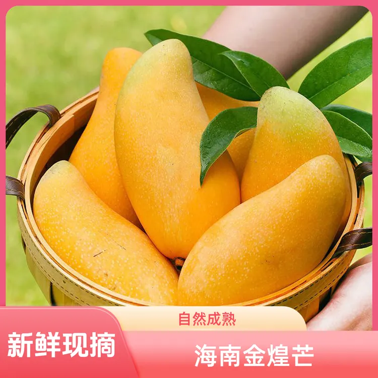 顺丰京东包邮【三亚直发】精品礼盒海南金煌芒果当季应季新鲜水果