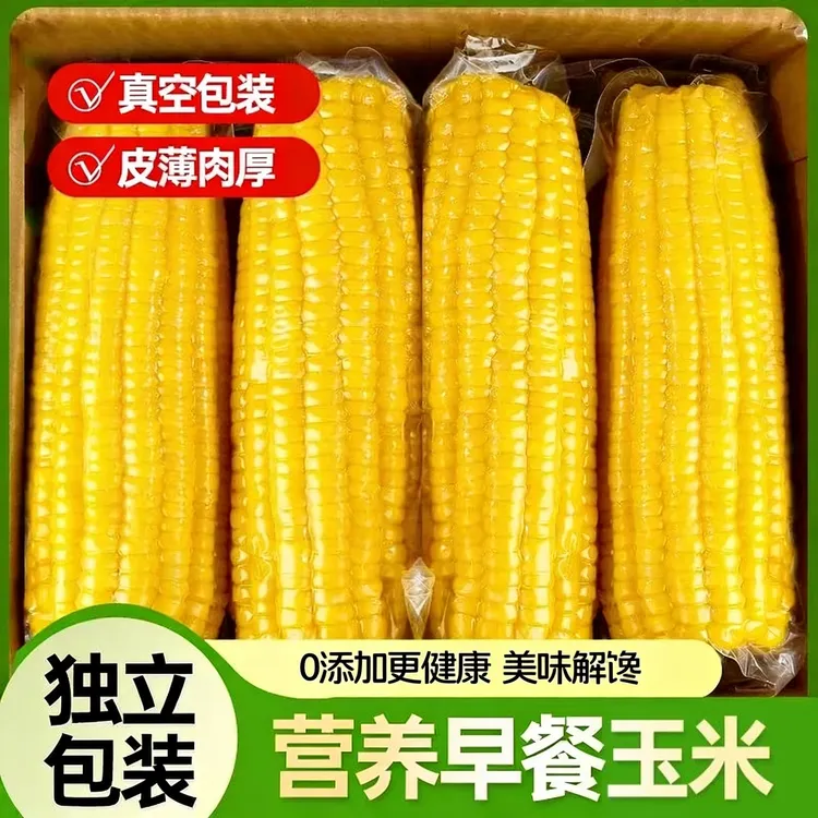 【新疆直发】新疆知春寒有机绿色黄糯玉米棒真空包装非转基因288g*8商品图