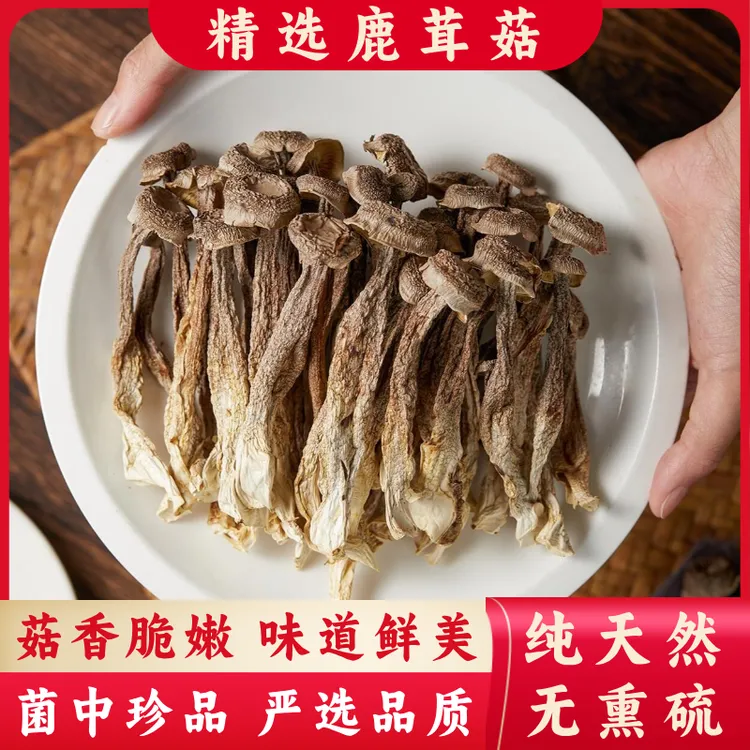 【到手一大袋】高山鹿茸菇 头茬大朵肉厚 无熏硫 炖鸡汤必备 1