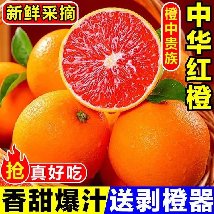 橙中贵族/中华红心肉血橙新鲜水果当季冰香甜爆汁现摘大甜脐橙子商品图