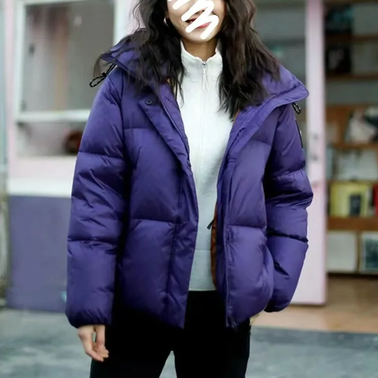 新品纯色百搭立领长袖短款鹅绒服