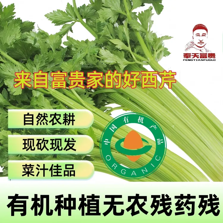 富贵有机西芹一箱一码现砍现发可生食榨汁无农残芹菜