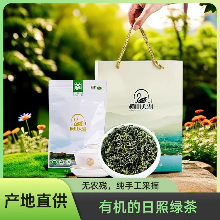 【拍一发二】2025新茶浓香型日照绿茶豆香无农残有机茶