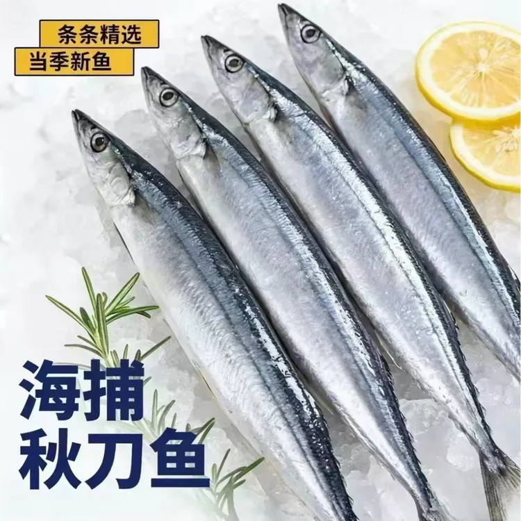 野生秋刀鱼甄选新鲜深海海鲜烧烤食材日式秋刀鱼鲜活舟山水产海鱼