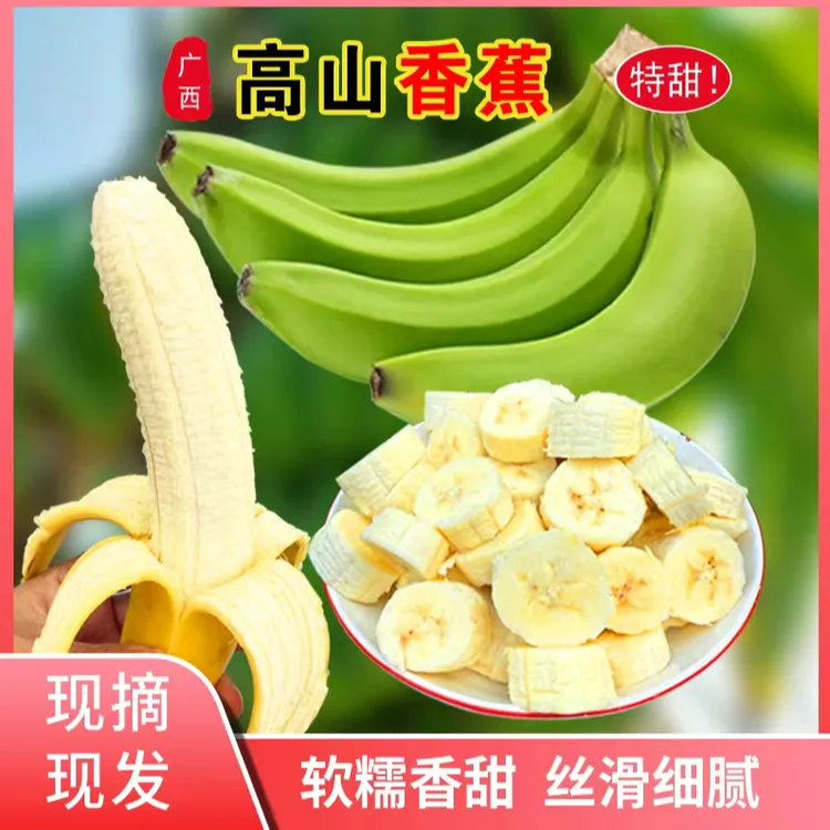 现摘新鲜广西高山香蕉软糯香甜低糖水果应季产地直发
