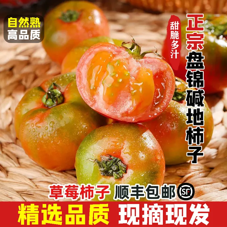 盘锦碱地西红柿铁皮柿子农家现摘自然熟3/5斤装正宗草莓柿子精品