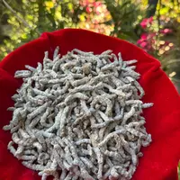 1【虫-草-天-蚕】净含量150g-500g【小小现收】