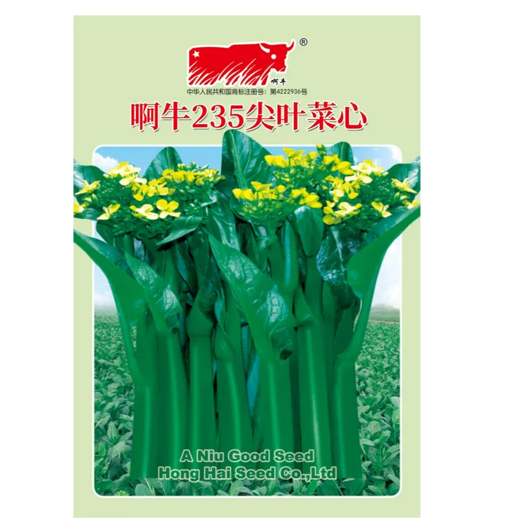 啊牛235尖叶菜心种子