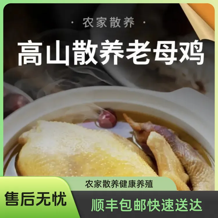 顺丰包邮金寨农家散养走地老母鸡拍一发三
