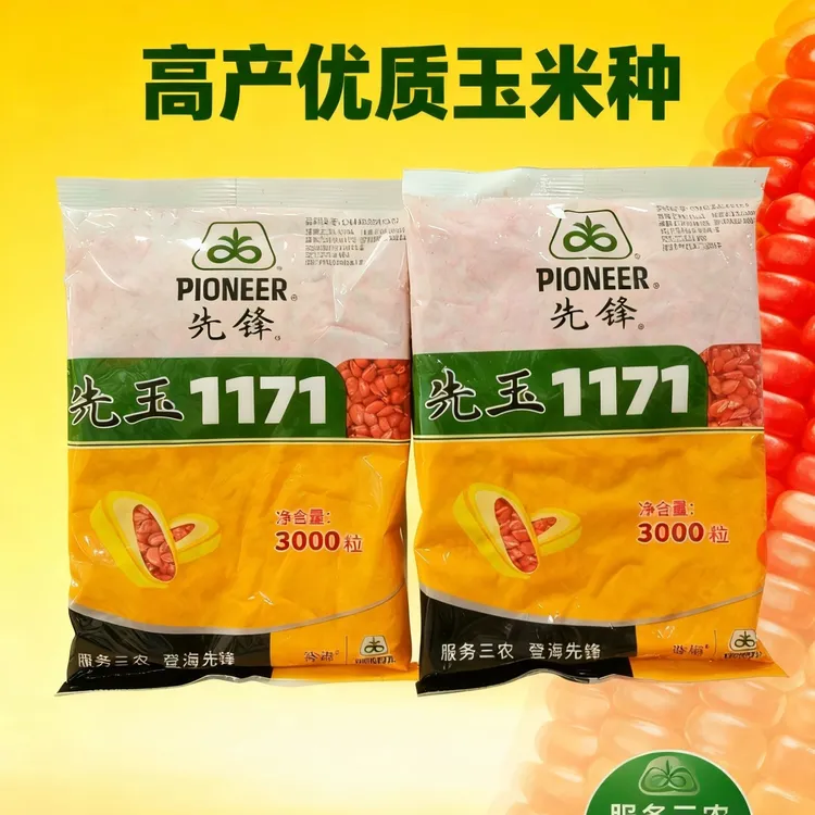 高产玉米种先玉1171