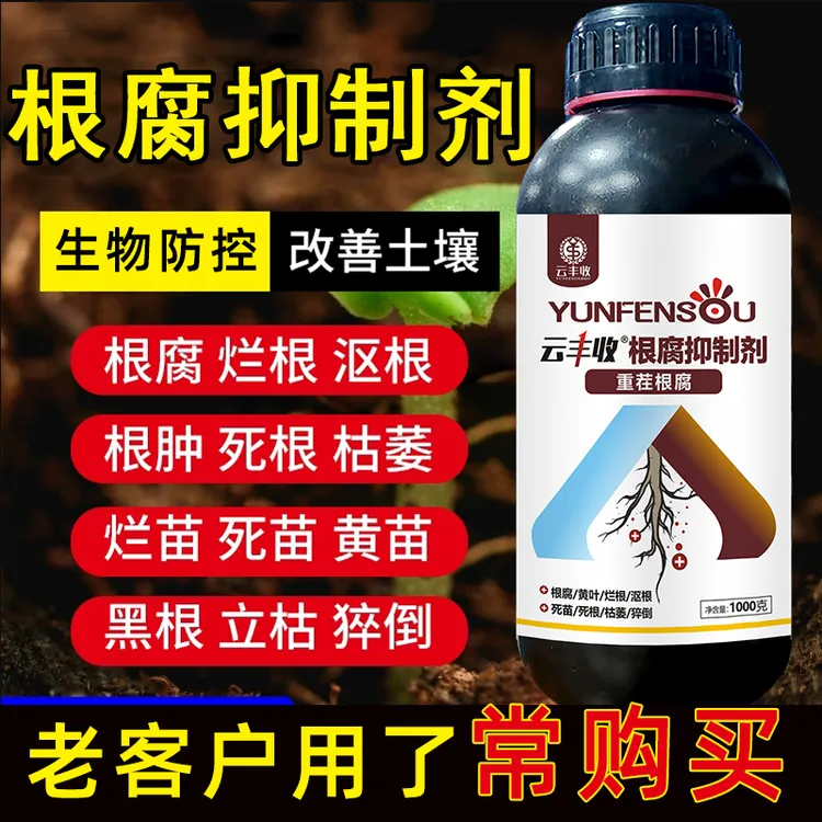 云丰收死棵僵苗青枯农作物专用根腐抑制剂生根壮苗促生新根