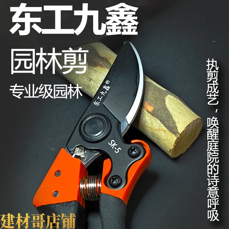 东工九鑫SK5园林专用果树枝剪花卉修花园艺剪刀果树园林工具省力