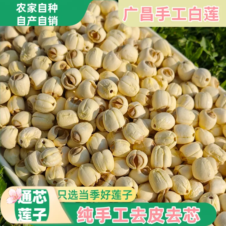 【去芯手工莲子】25年新莲大颗广昌白莲无硫去芯手工大颗粒软糯口感