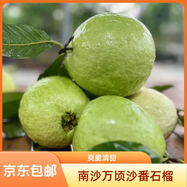 南沙万顷沙白心低热量树上熟番石榴脆口芭乐南方新鲜健康当季水果