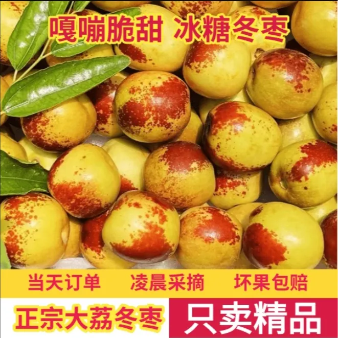 【酥脆香甜】正宗大荔冰糖冬枣自然成熟新鲜