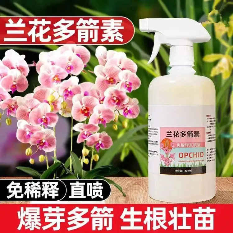 【兰花多箭素】兰花专用营养液催花延花期治黄叶专用液体肥通用型