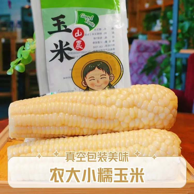 农大小糯香糯玉米真空包装10根营养食用非转基因