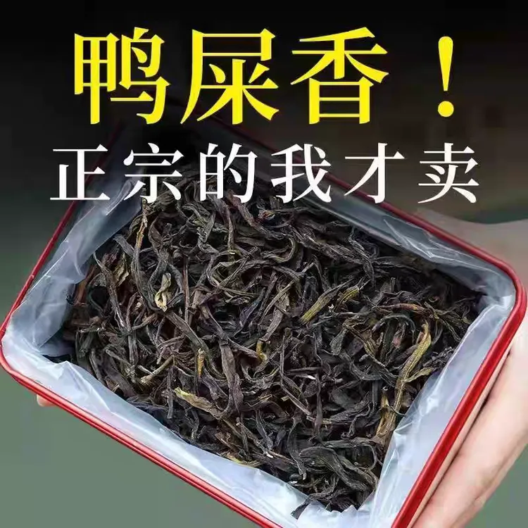 【鸭屎香】2025年新茶潮州凤凰单丛茶礼盒装浓香型高山茶泡水包邮