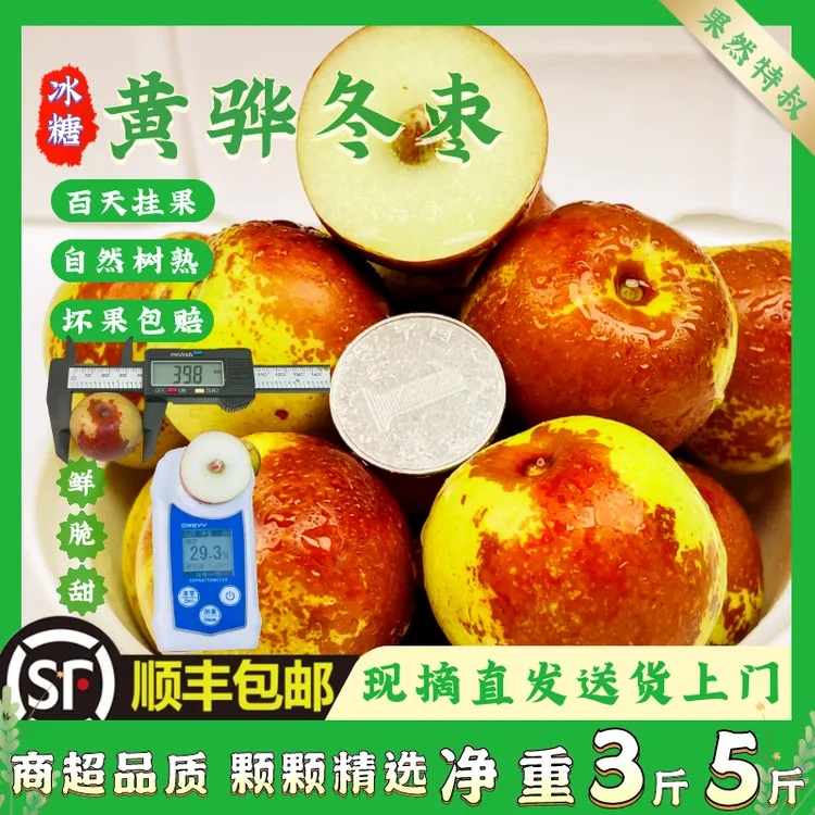 顺丰包邮正宗沧州黄骅冬枣生鲜水果特产沾化冬枣孕妇儿童红枣水果