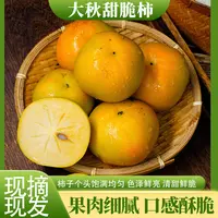 广西甜脆柿子脆甜可口新鲜水果现摘现发皮薄肉厚果香四溢包邮