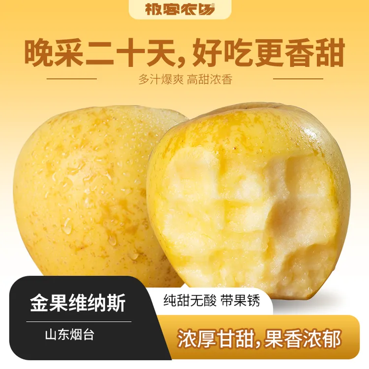 极客金果维纳斯黄金苹果 果肉硬实纯甜无酸香味浓郁4.5斤顺丰
