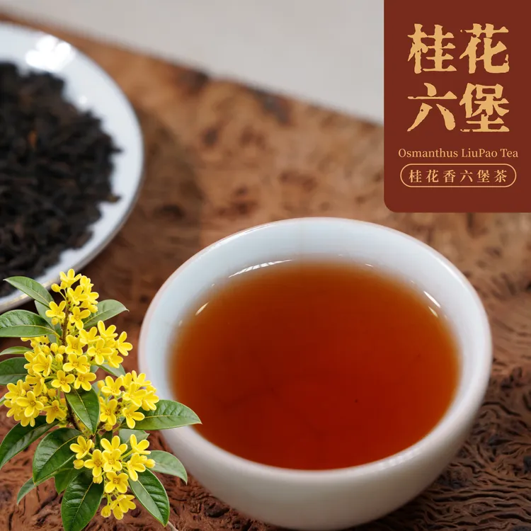 桂花六堡茶‖鲜桂花窨制不添加香精花香淡雅茶味醇厚去湿茶