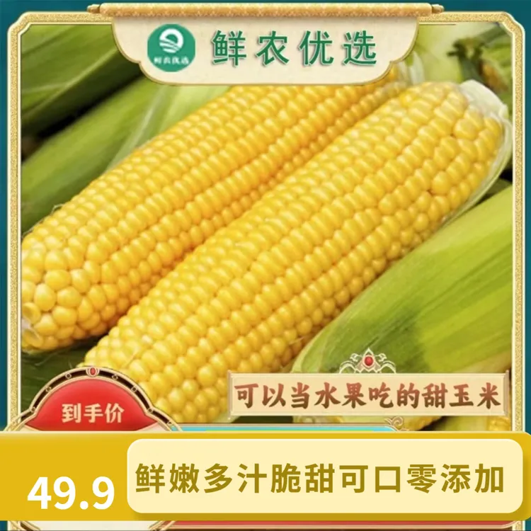 东北头茬水果玉米鲜嫩多汁能当水果吃的甜玉米轻餐美食10穗零添加