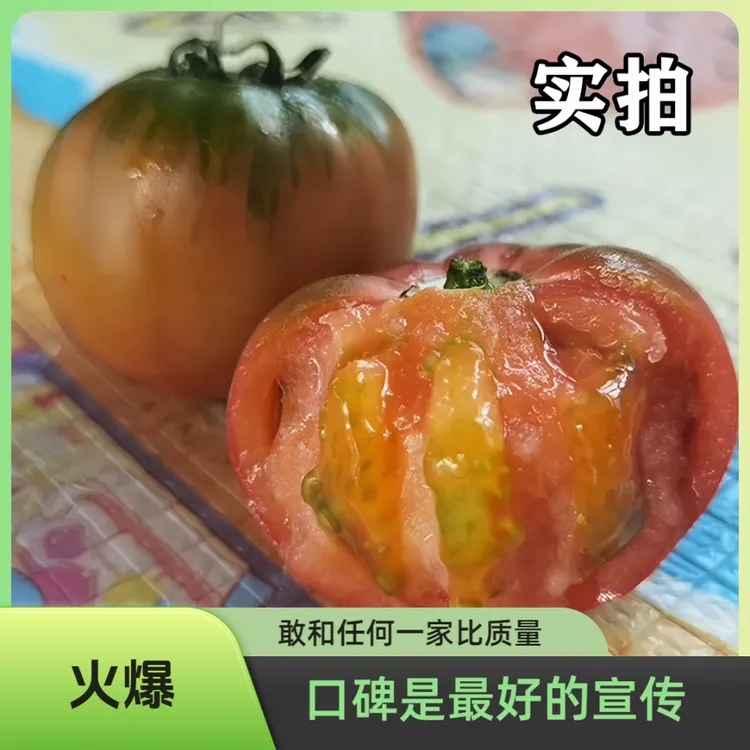 {铭福堂}中秋好礼盘锦碱地柿子铁皮西红柿草莓番茄自然熟顺丰包邮
