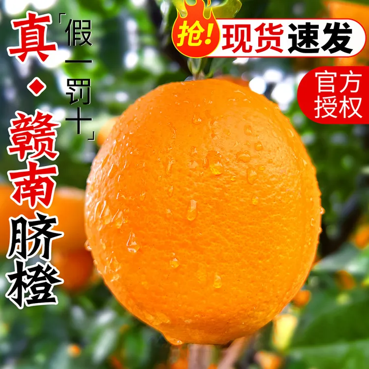 正宗赣南信丰脐橙新鲜赣州特产橙子应季水果江西脐橙孕妇现摘直发