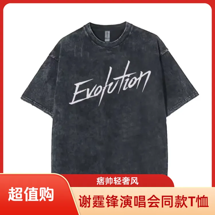 谢霆锋2025演唱会同款T恤爆款短袖100%纯棉宽松圆领轻奢痞帅男装