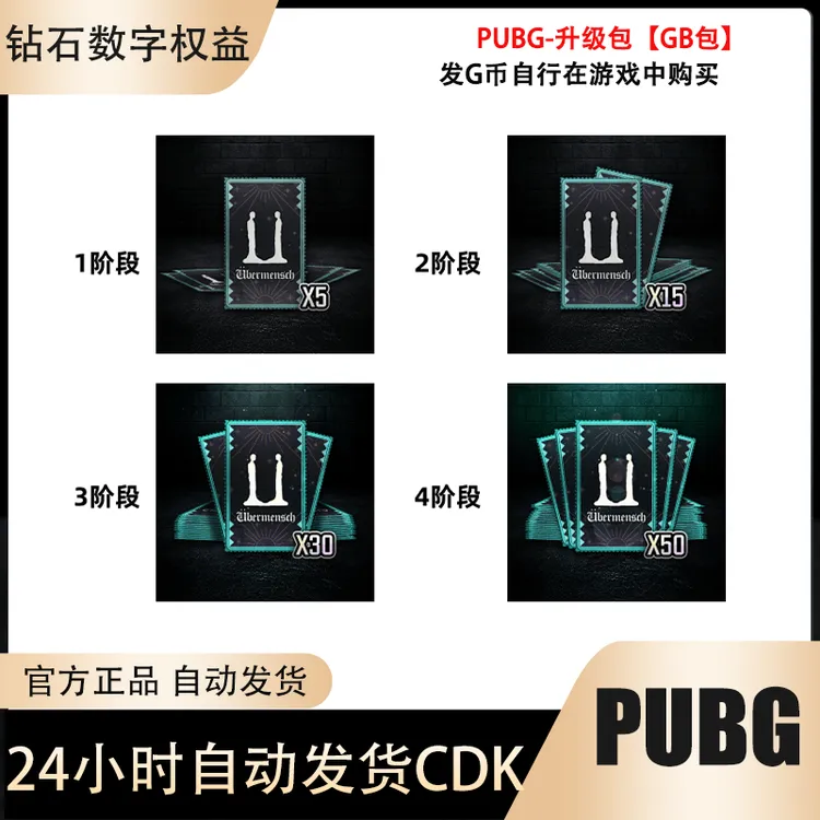 PUBG绝地求生G-DRAGON物资箱升阶包发GB兑换码CDK自动发货